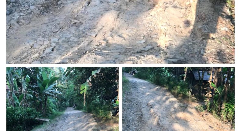 foto slider headline